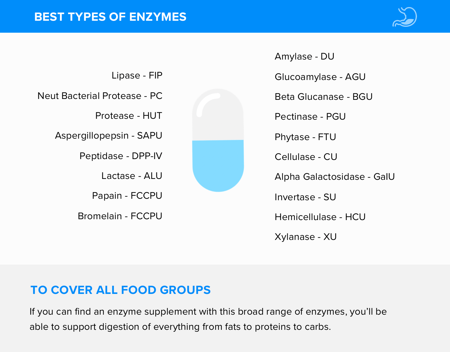 Best Types Of Enzymes