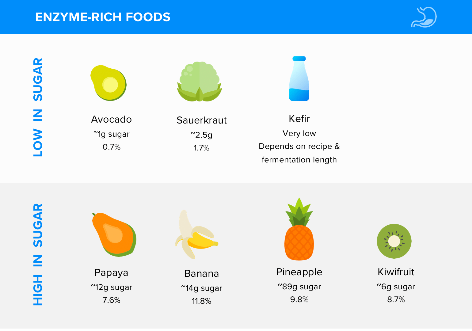 Enzyme Rich Foods