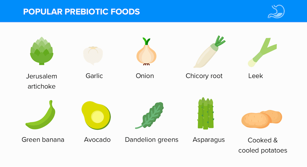 Popular Prebiotic Foods