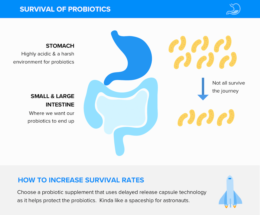 Survival Rates Probiotics