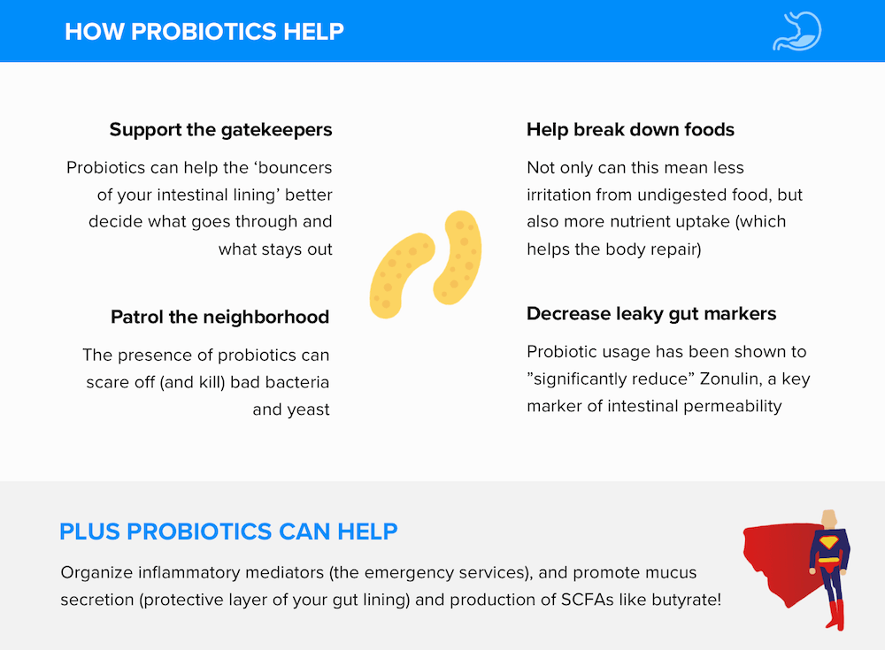 Probiotics Help Leaky Gut