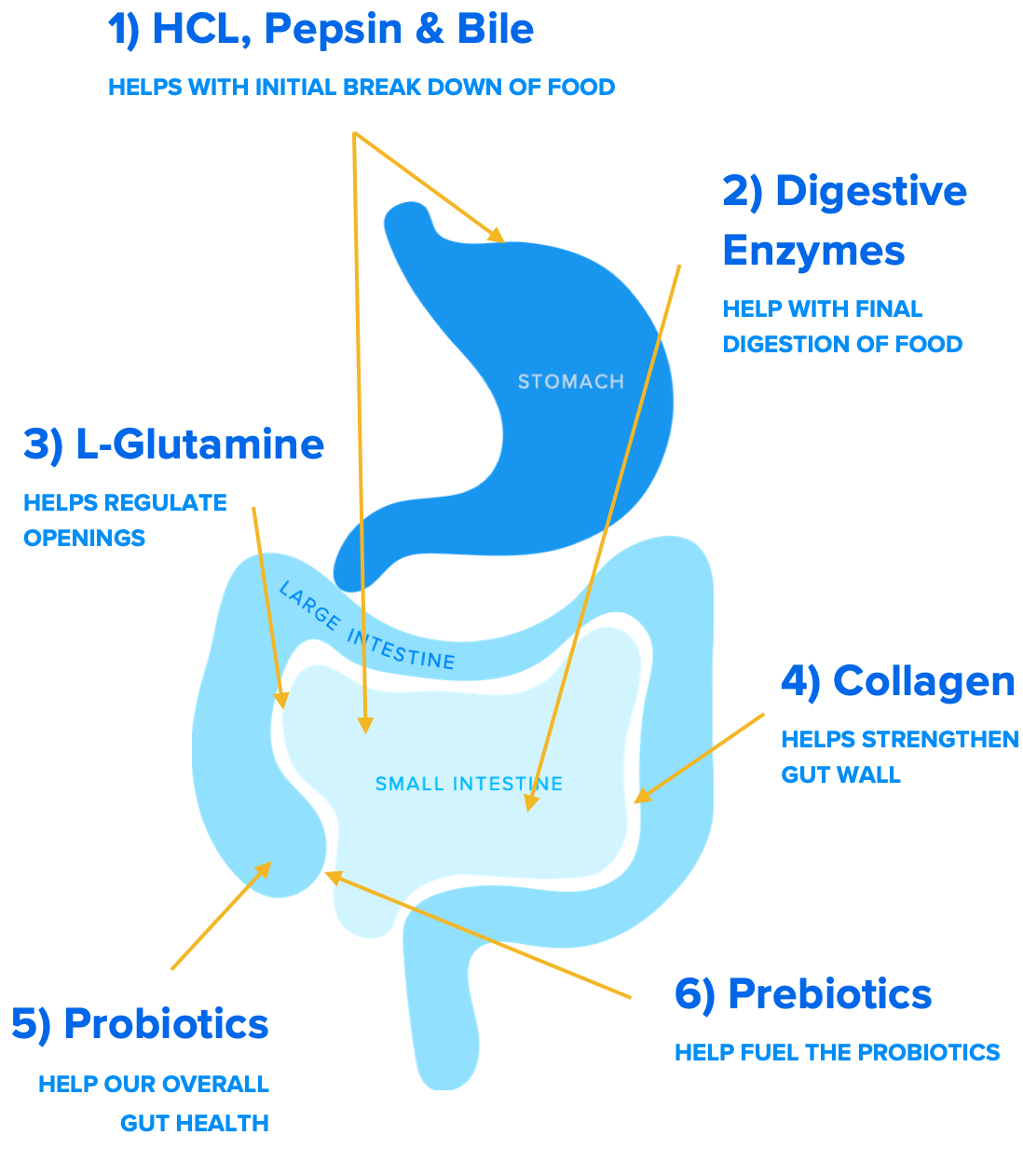 Consider My 6 Favorite Supplements For Leaky Gut