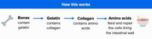 Why Collagen Is A Leaky Gut Superhero + My Best Tips.