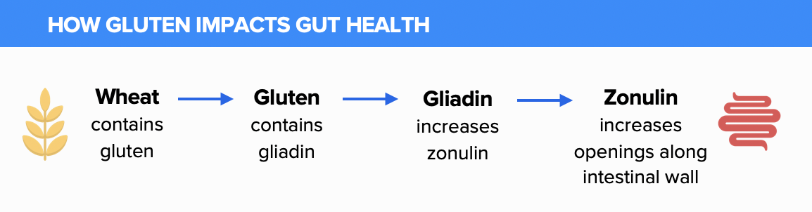 How Gluten Impacts Gut Health