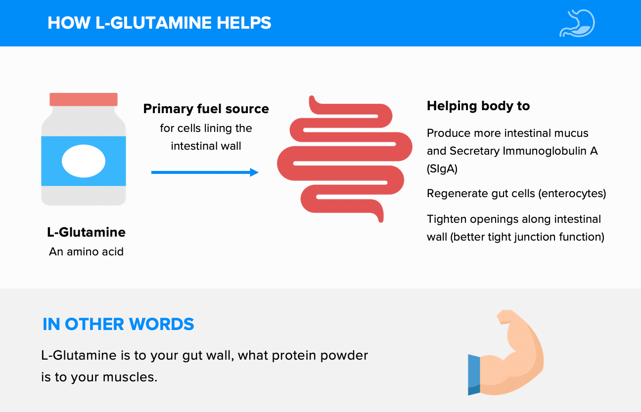 How L-Glutamine Helps
