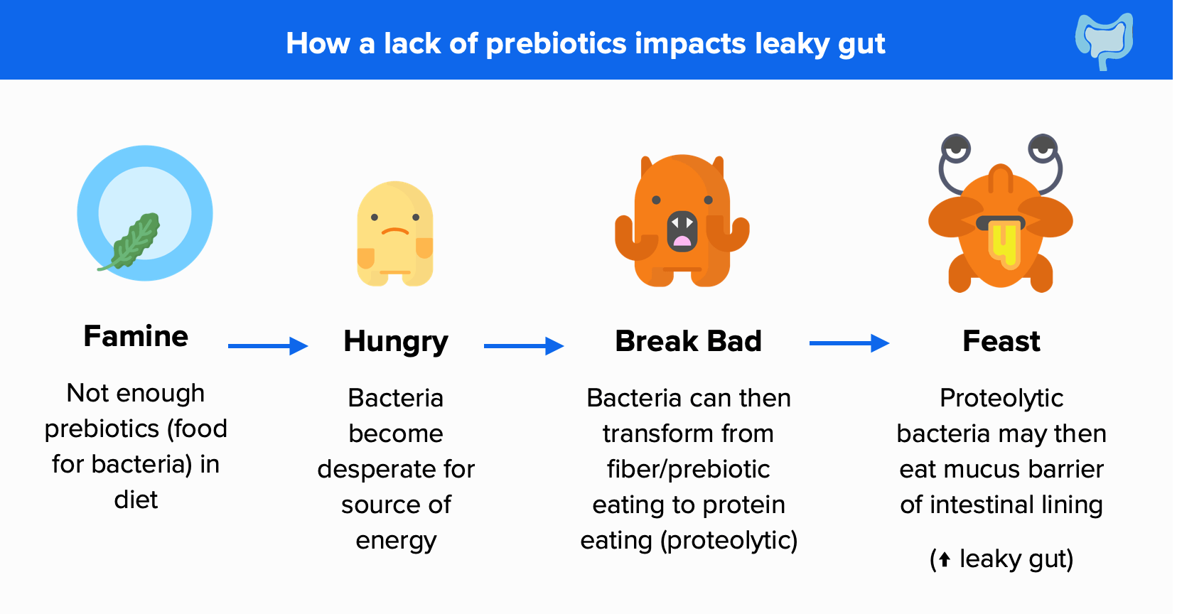 How a lack of prebiotics impacts leaky gut