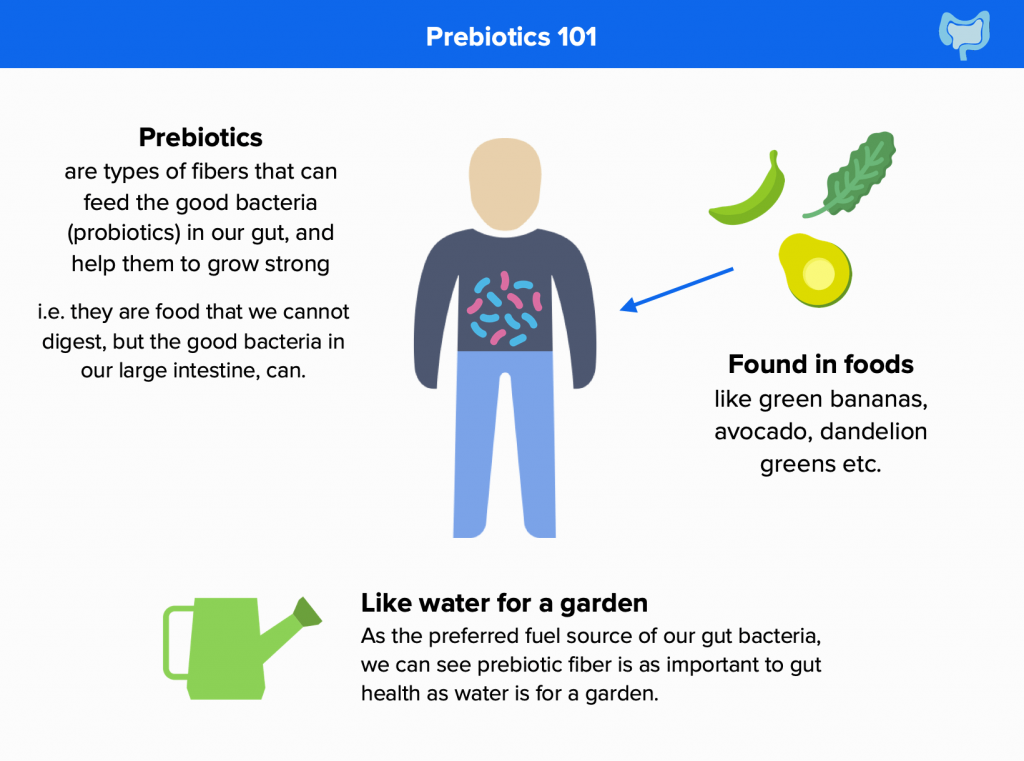 Why Prebiotic Fiber Is Amazing For Leaky Gut Goodbye Leaky Gut